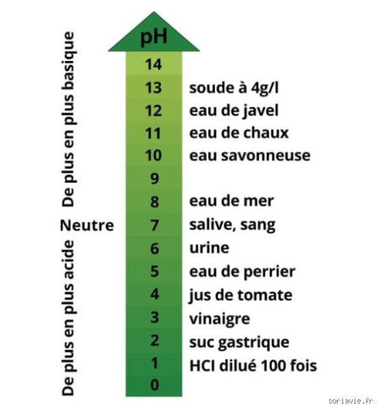 Quels sont les signes d'un pH déséquilibré : décryptage complet pour reprendre le contrôle sur votre vitalité intérieure
