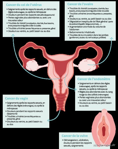 Quels sont les signes indiquant que l'organisme d'une personne atteinte d'un cancer est en train de s'arrêter de fonctionner : comprendre la fin de vie