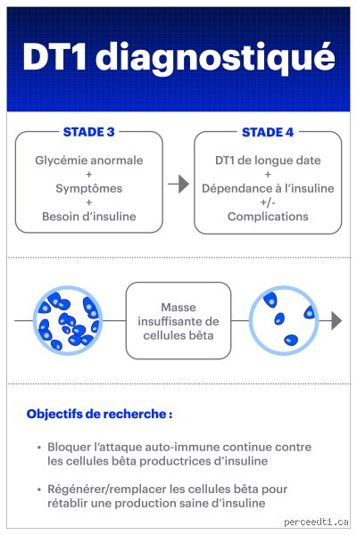 Quels sont les stades du diabète de type 1 : comprendre la progression silencieuse avant l'insuline