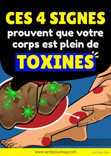 Quels sont les symptômes d'un corps plein de toxines ? Signes d'alerte et réalités biologiques d'un organisme saturé