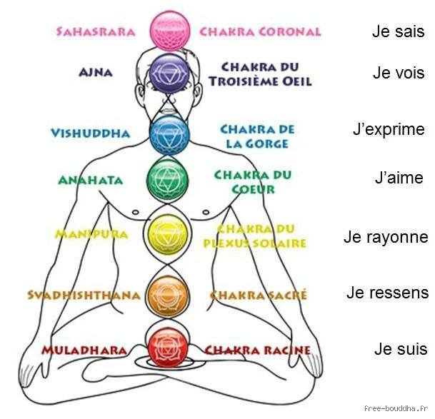 Quels sont les symptômes d'un premier chakra bloqué ? Reconnaître les signes de déséquilibre du Muladhara pour retrouver son ancrage