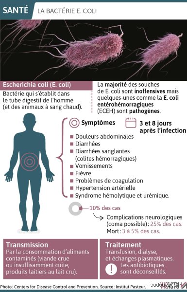 Quels sont les symptômes d'une bactérie dans le corps ? Identifier les signaux d'alerte avant la complication