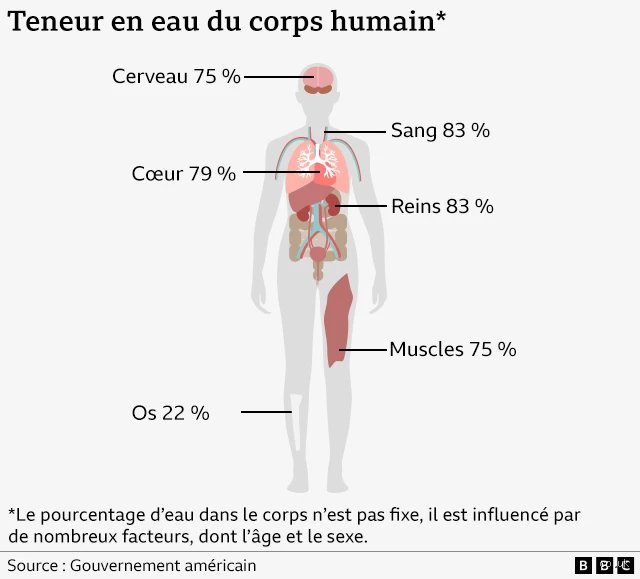 Quels sont les symptômes d'une intoxication par l'eau ? Comprendre les dangers invisibles de l'hyperhydratation extrême
