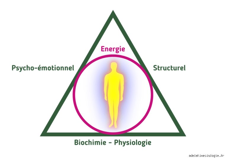 Quels sont les trois éléments qui composent le triangle de la santé ? Le guide complet pour un équilibre total