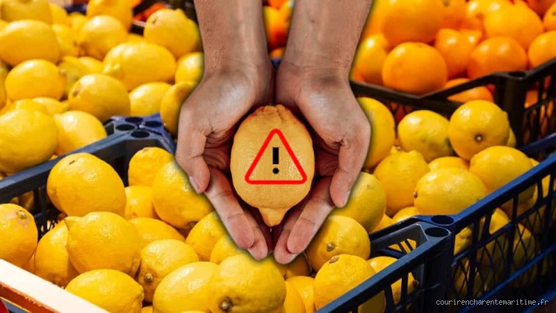Qui devrait éviter les citrons ? Ces profils insoupçonnés pour lesquels l'agrume star devient un véritable poison quotidien