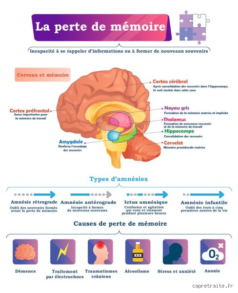 Perte de mémoire : qui consulter pour un diagnostic fiable et quand faut-il vraiment commencer à s'inquiéter ?