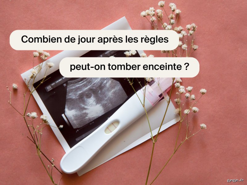 Peut-on réellement tomber enceinte 2 jours après les règles ? Le guide complet pour comprendre les risques réels