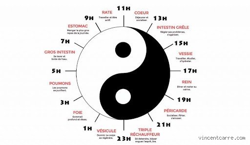 Réveil entre 3h et 4h du matin : pourquoi votre cerveau s'active-t-il alors que le monde dort encore ?
