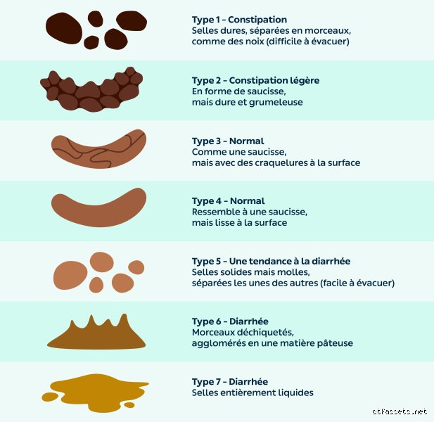 À quoi ressemblent les selles lorsque le foie est en phase de détoxification : le guide complet pour décoder vos messages intestinaux