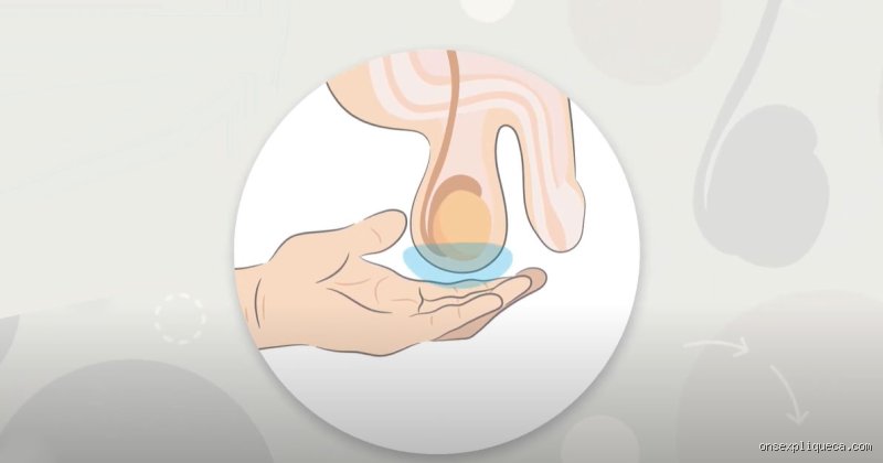 À quoi sert de masser les testicules d'un homme : entre bien-être prostatique et tabous masculins brisés