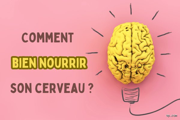 Pourquoi boire de l'eau ne suffit pas pour bien hydrater son cerveau ?