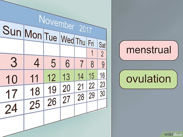 Comment contrôler le jour d'ovulation ?
