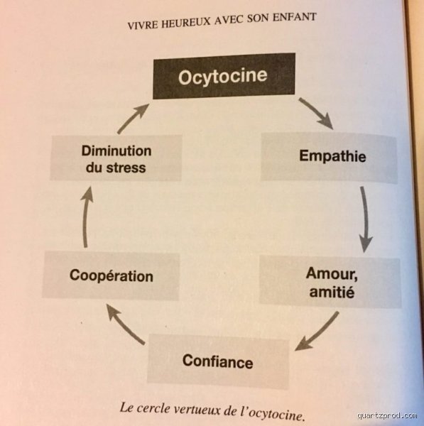 Comment déclencher la sécrétion d'ocytocine ?