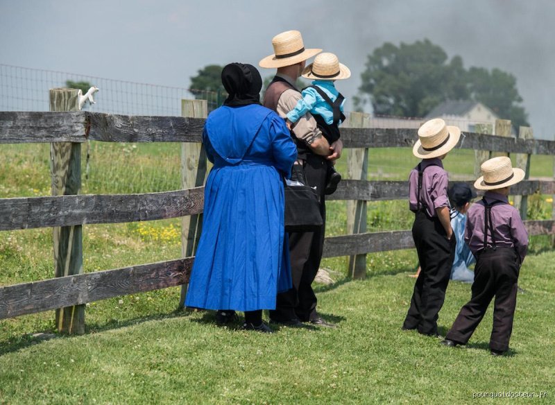Comment les Amish traitent-ils le diabète ? Enquête exclusive sur un modèle médical hors du temps