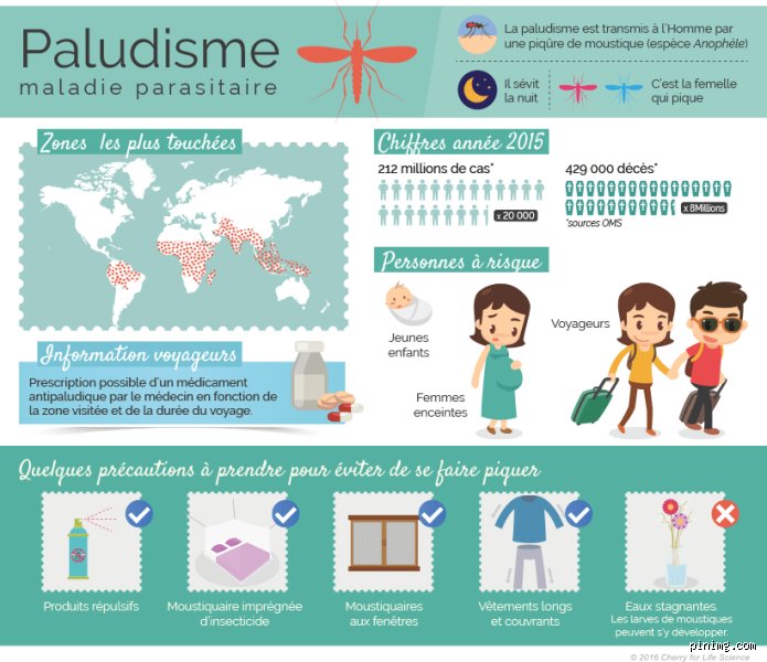Comment reconnaître une crise de paludisme ?