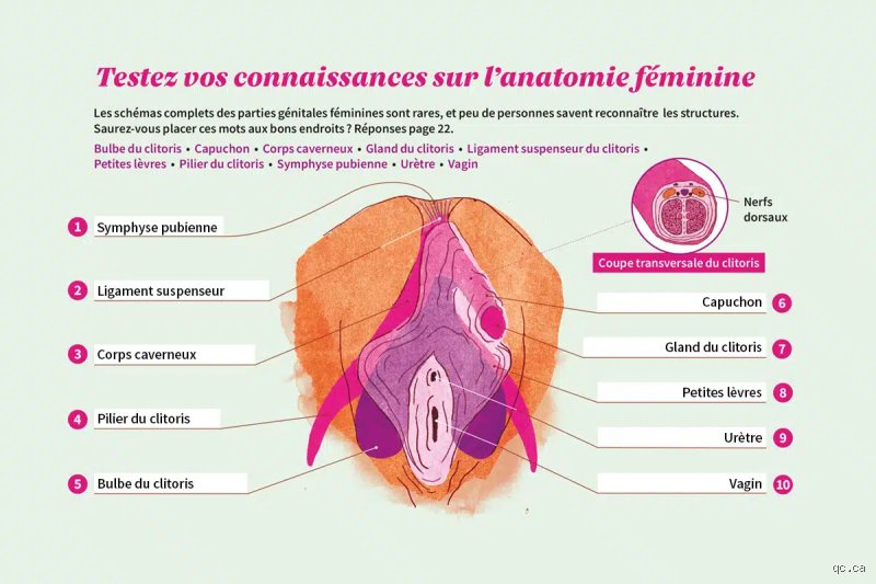 Comment savoir si j'ai joui ou si j'ai fait pipi en tant que fille ?