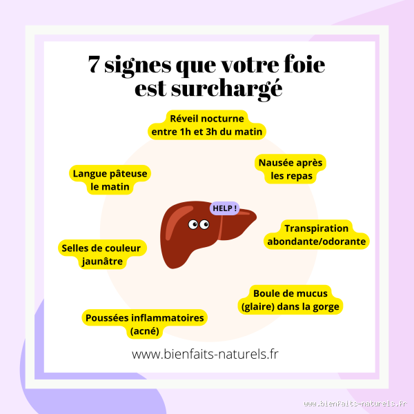Comment savoir si le foie est surchargé ? Les signes à ne pas ignorer