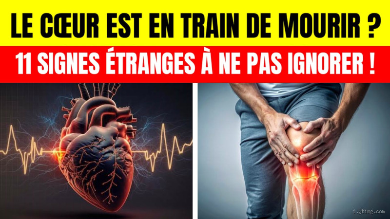 Comment savoir si notre cœur est fragile ? Les signes à ne pas ignorer
