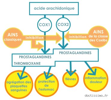 Est-ce que la prise d'anti-inflammatoires fatigue ? La vérité sur ce coup de barre que personne n'explique