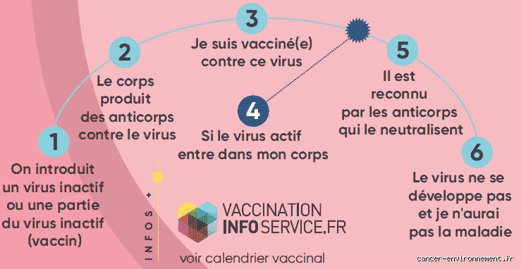 Est-ce que le HPV reste à vie ? La vérité scientifique sur la persistance du papillomavirus dans votre organisme