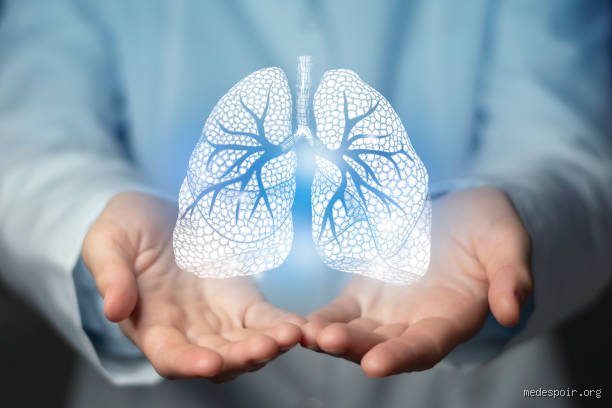 Le poumon se régénère-t-il vraiment ? La vérité derrière la régénération pulmonaire