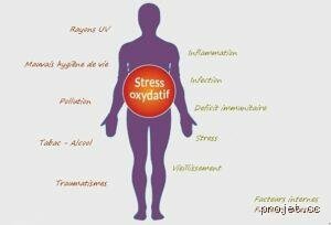 Le stress fait-il vraiment vieillir ?