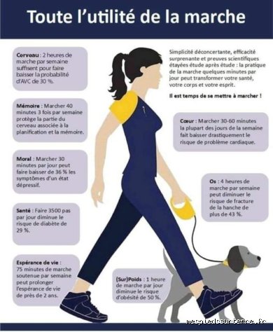 Est-il bon de beaucoup marcher ?