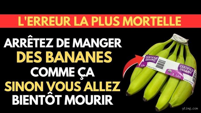 Les bananes sont-elles mauvaises pour les personnes âgées ? Enquête sans tabou sur un fruit qui divise les nutritionnistes