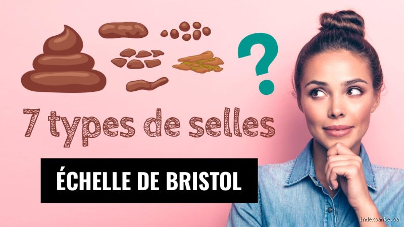 Où vont les selles non évacuées ? Un regard sur les mécanismes digestifs