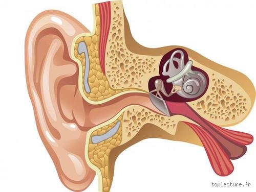 Pourquoi ça craque dans mon oreille ?
