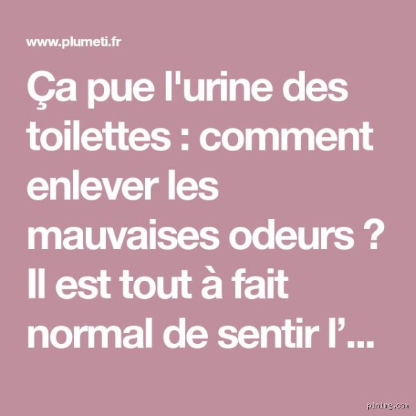 Pourquoi ça sent l'urine dans les toilettes, même après avoir tiré la chasse ?