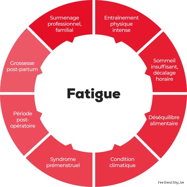Pourquoi fatigue 3ème trimestre ?
