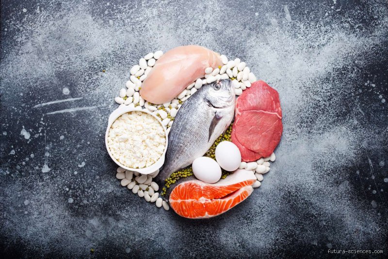 Pourquoi il ne faut pas manger beaucoup de protéines le soir ?