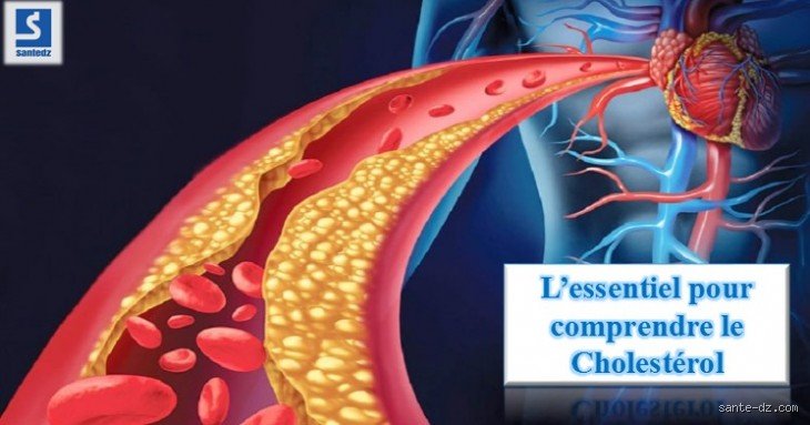 Pourquoi je fais du cholestérol ? Comprendre ce qui se cache derrière ce terme souvent mal compris