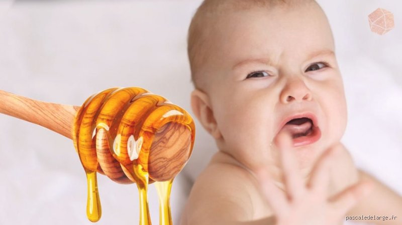 Pourquoi ne pas donner de miel aux bébés ?