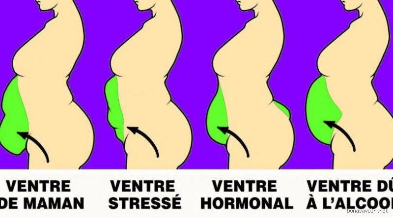 Pourquoi on a un gros ventre femme ?