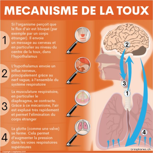 Qu'est-ce qu'une toux qui siffle ?