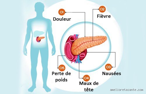 Qu'est-ce qui détruit le pancréas ?
