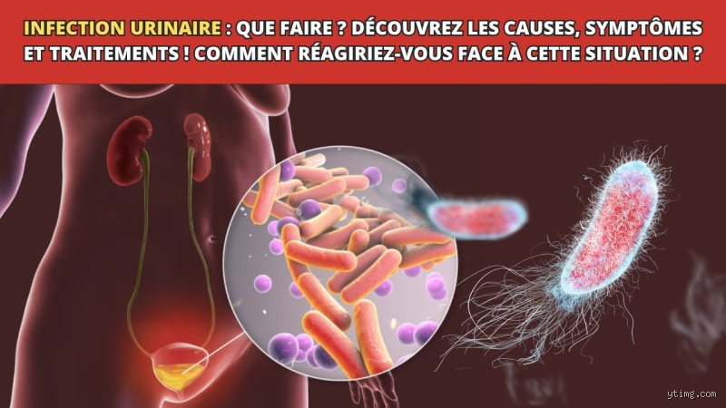 Quand disparaît une infection urinaire ?