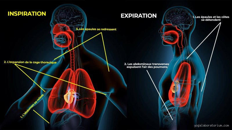 Quand on expire on rejette quoi ? Tout ce que vous devez savoir