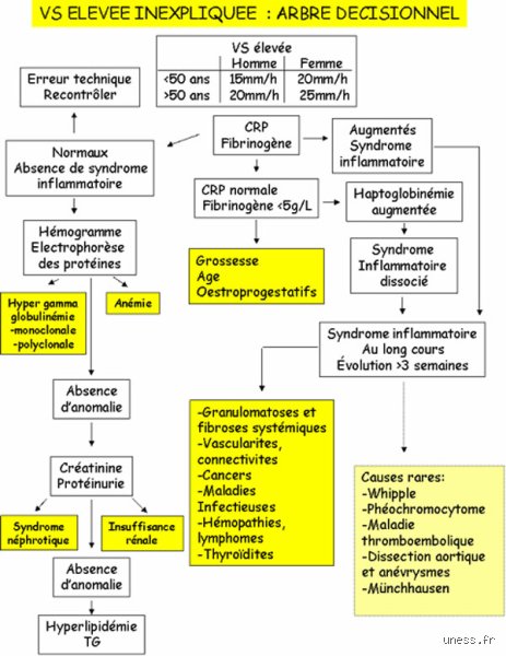 Que faire si les marqueurs d'inflammation sont élevés ? Le guide pour comprendre vos analyses biologiques sans paniquer