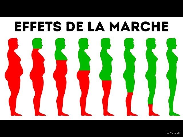 Que se passe-t-il réellement dans votre corps quand vous marchez 1 heure chaque jour ?