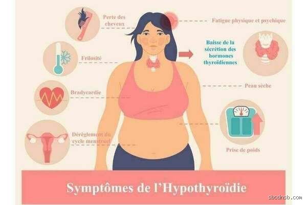 Que sont les jambes hypothyroïdiennes et comment ce symptôme méconnu trahit le ralentissement de votre métabolisme ?