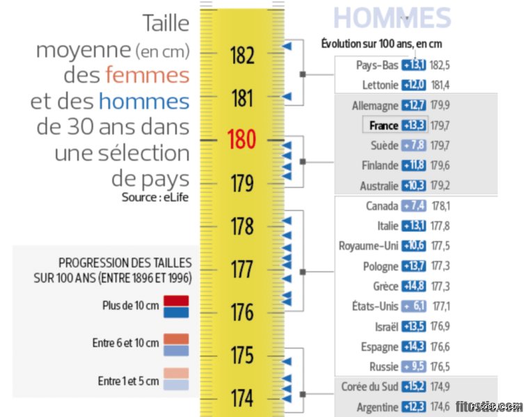 Quelle est la taille moyenne d'une femme ?