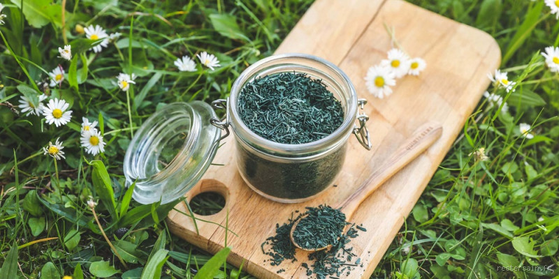 Quel est le meilleur antihistaminique naturel ? Découvrez les solutions efficaces