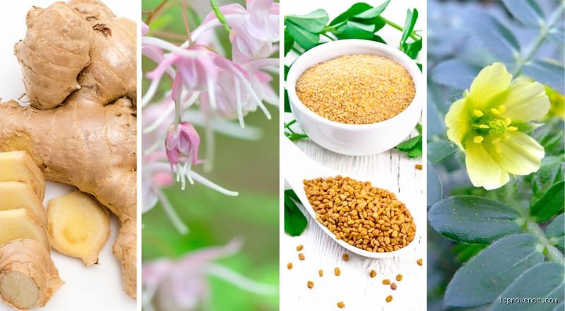 Quel produit naturel peut remplacer le Viagra ? Les alternatives qui fonctionnent vraiment