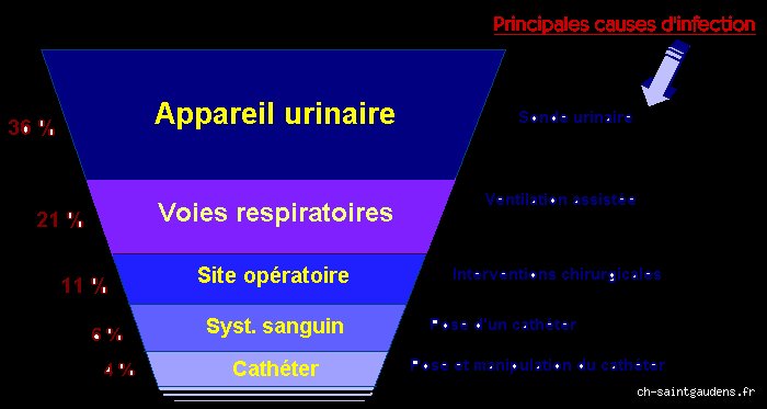 Quelle est la cause la plus fréquente d'infection ? La vérité sur ces agents qui nous gâchent la vie