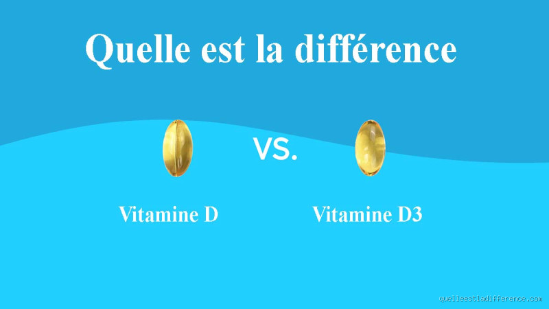 Quelle est la différence entre la vitamine D et la vitamine D3 ?