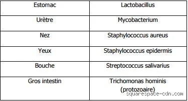 Quelles sont 10 maladies causées par des bactéries ? Le guide complet pour comprendre ces menaces invisibles