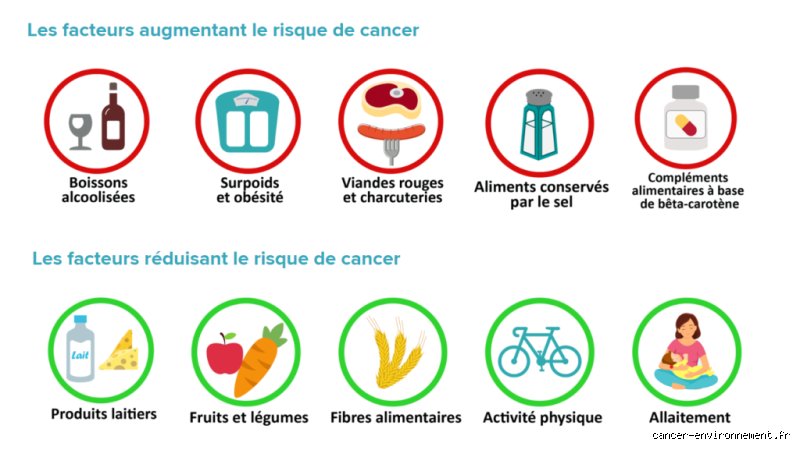 Quelles sont les deux habitudes liées au cancer qui pèsent le plus lourd dans la balance de notre santé actuelle ?